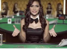 彩神v8首页2024最新版